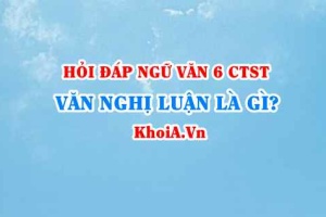 Văn nghị luận là gì? lí lẽ, bằng chứng trong văn nghị luận là gì? Ngữ văn lớp 6 CTST
